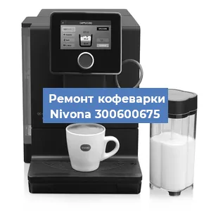 Замена счетчика воды (счетчика чашек, порций) на кофемашине Nivona 300600675 в Москве
